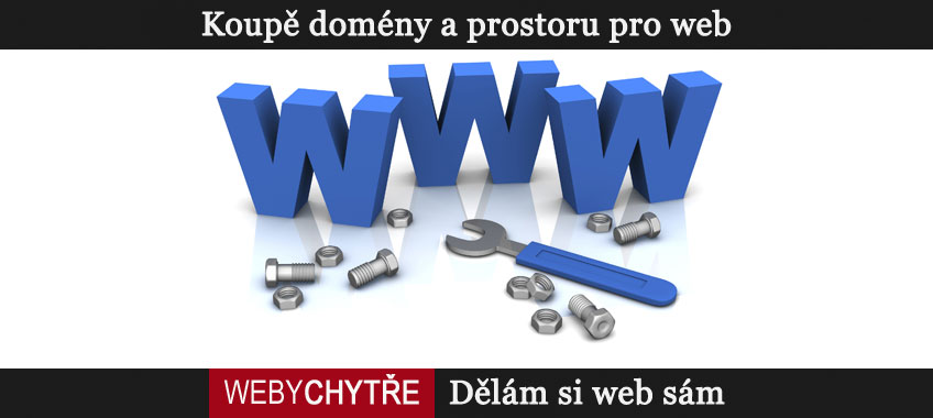 Dělám si web sám, díl 1. Doména a webhosting